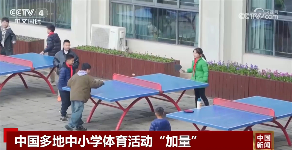 轮中
