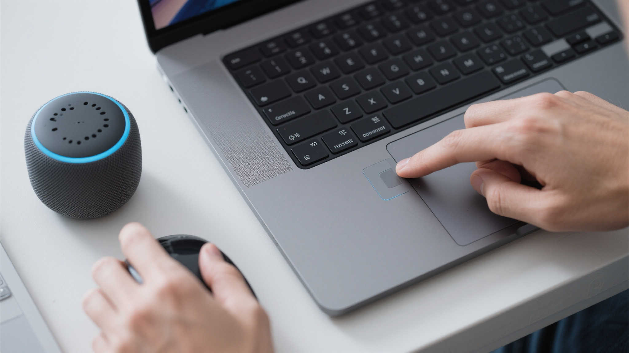 蜂鸟竞技Fengniao Esports服务